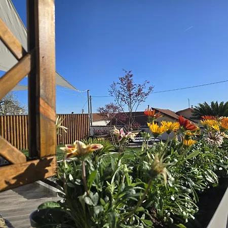 Casa Mia House